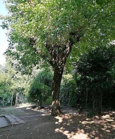 Apartamento Farolfi Vallescura Bolonia